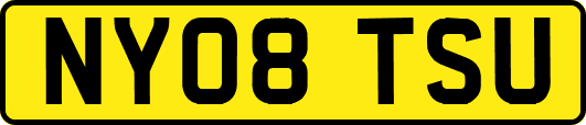 NY08TSU