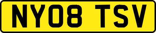 NY08TSV