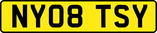 NY08TSY