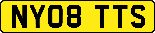 NY08TTS