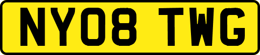 NY08TWG