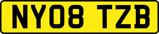 NY08TZB