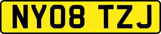 NY08TZJ