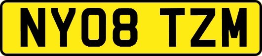 NY08TZM