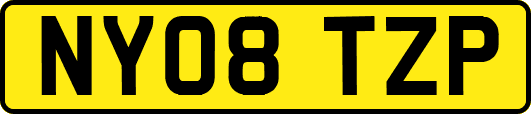 NY08TZP