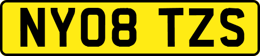 NY08TZS