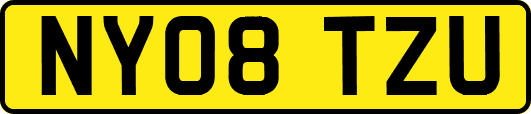 NY08TZU