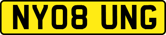 NY08UNG