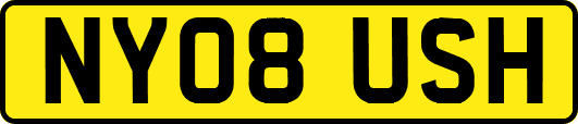 NY08USH