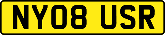 NY08USR