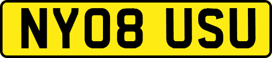 NY08USU