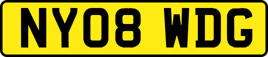 NY08WDG