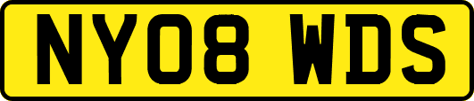 NY08WDS