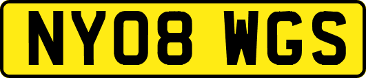 NY08WGS