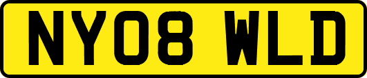 NY08WLD