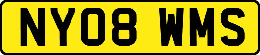 NY08WMS