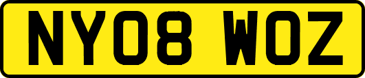 NY08WOZ