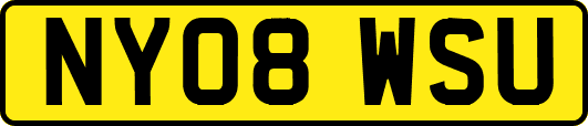 NY08WSU