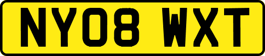 NY08WXT