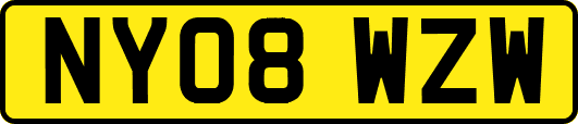 NY08WZW