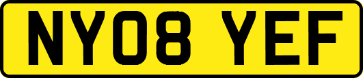 NY08YEF