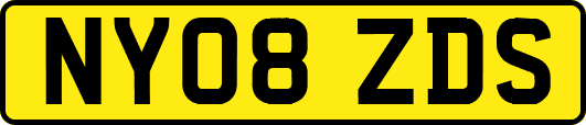 NY08ZDS