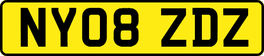 NY08ZDZ