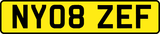NY08ZEF