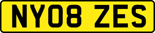 NY08ZES