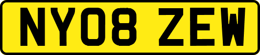 NY08ZEW