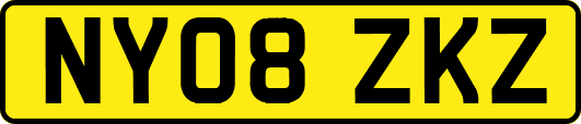 NY08ZKZ