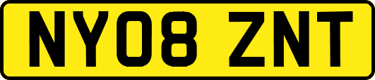 NY08ZNT