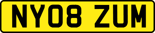 NY08ZUM