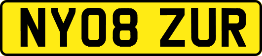 NY08ZUR