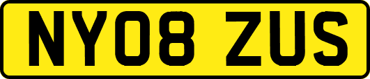 NY08ZUS