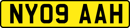 NY09AAH