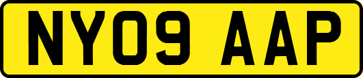 NY09AAP