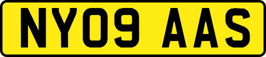 NY09AAS