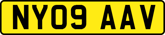 NY09AAV