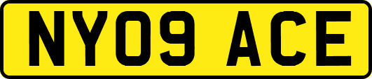 NY09ACE