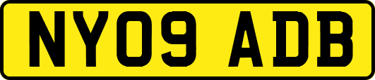 NY09ADB