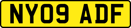 NY09ADF