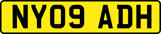 NY09ADH