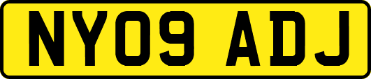 NY09ADJ