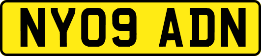 NY09ADN