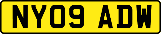 NY09ADW