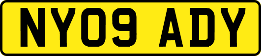 NY09ADY