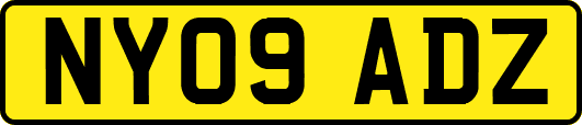 NY09ADZ