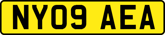 NY09AEA