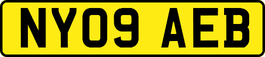 NY09AEB